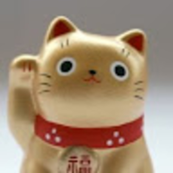 Meet your Posher, Revi - Picture 1 of 1